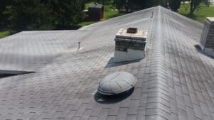 a turtle laying on top of a roof.