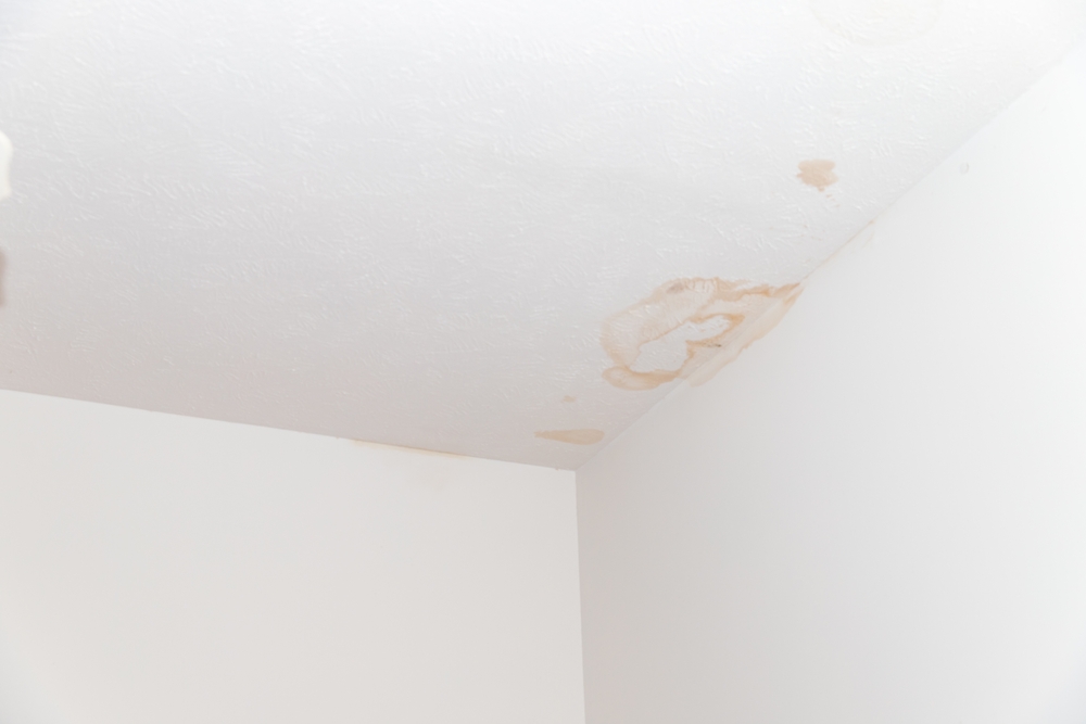 water stains are a sign of roof leaks